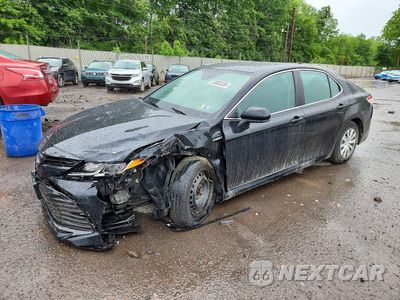2019 TOYOTA CAMRY LE 4T1B31HK7KU509151 - główne zdjęcie licytacji z USA - miniatura
