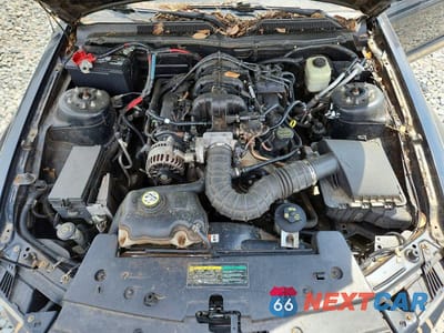 Zdjęcie 11 z 12 samochodu: 2007 FORD MUSTANG VIN:1ZVFT80N775203750 - miniatura