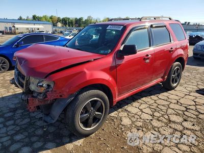 2010 FORD ESCAPE XLT 1FMCU0D79AKC46894 - główne zdjęcie licytacji z USA - miniatura