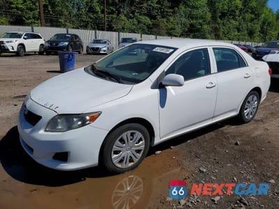 2010 TOYOTA COROLLA LE 1NXBU4EE5AZ333194 - główne zdjęcie licytacji z USA - miniatura