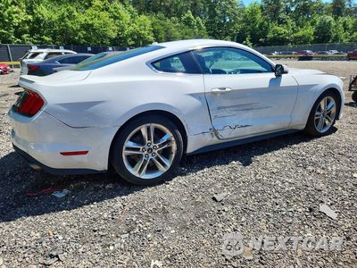 Trzecie zdjęcie samochodu z tyłu: 2019 FORD MUSTANG VIN:1FA6P8TH3K5185095 - miniatura