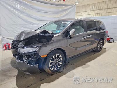 2023 HONDA ODYSSEY EXL 5FNRL6H62PB024242 - główne zdjęcie licytacji z USA - miniatura