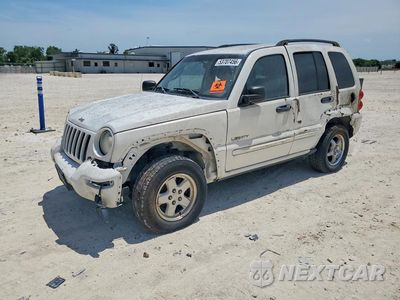 2004 JEEP LIBERRTY 1J4GK58K64W103531 - główne zdjęcie licytacji z USA - miniatura
