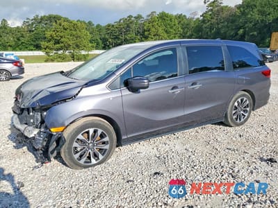 2024 HONDA ODYSSEY EXL 5FNRL6H62RB002809 - główne zdjęcie licytacji z USA - miniatura