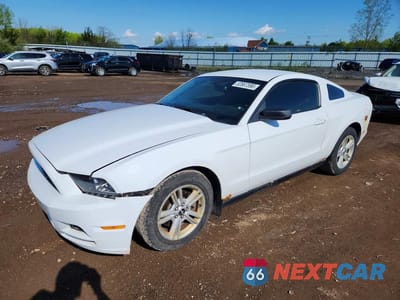 2014 FORD MUSTANG 1ZVBP8AM7E5239220 - główne zdjęcie licytacji z USA - miniatura