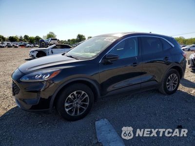 2020 FORD ESCAPE SE 1FMCU9G6XLUC36096 - główne zdjęcie licytacji z USA - miniatura
