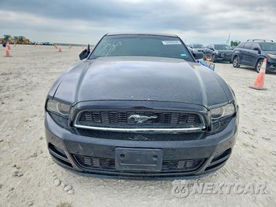 Piąte zdjęcie samochodu w środku: 2013 FORD MUSTANG VIN:1ZVBP8AM8D5254856 - miniatura