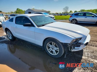 Czwarte zdjęcie samochodu z boku: 2014 FORD MUSTANG VIN:1ZVBP8AM7E5239220 - miniatura