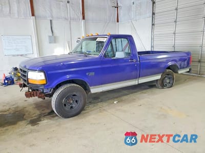 1995 FORD F150 1FTDF15Y6SLA96450 - główne zdjęcie licytacji z USA - miniatura