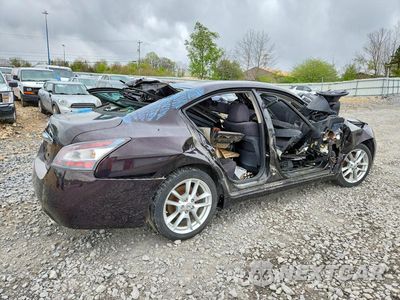 Trzecie zdjęcie samochodu z tyłu: 2013 NISS MAXIMA VIN:1N4AA5APXDC825919 - miniatura