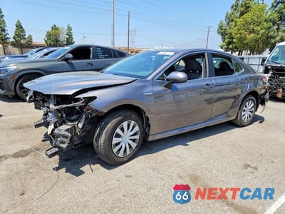 2019 TOYOTA CAMRY LE 4T1B31HK9KU512391 - główne zdjęcie licytacji z USA - miniatura