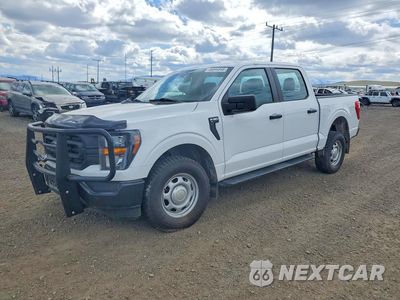 2023 FORD F150 1FTFW1E54PKE09961 - główne zdjęcie licytacji z USA - miniatura