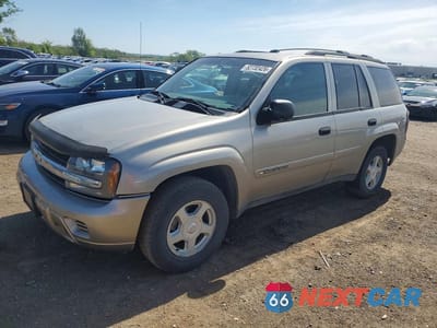 2002 CHEV TRAILBLAZER 1GNDT13S822455253 - główne zdjęcie licytacji z USA - miniatura