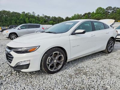 2024 CHEVROLET MALIBU LT 1G1ZD5ST2RF228617 - główne zdjęcie licytacji z USA - miniatura
