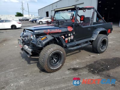 1993 JEEP WRANGLER / YJ 1J4FY29S2PP249379 - główne zdjęcie licytacji z USA - miniatura