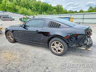 Drugie zdjęcie samochodu z przodu: 2014 FORD MUSTANG VIN:1ZVBP8AM0E5254044 - miniatura