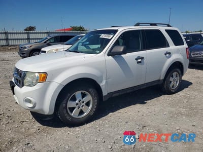 2011 FORD ESCAPE XLT 1FMCU0D73BKB74771 - główne zdjęcie licytacji z USA - miniatura