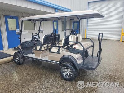Trzecie zdjęcie samochodu z tyłu: 2023 AETRIC GOLF CART VIN:1H9AE43S6PA666235 - miniatura