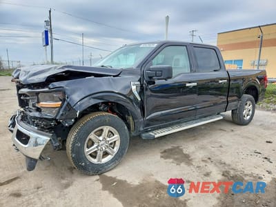 2024 FORD F150 XLT 1FTFW3L83RKE57057 - główne zdjęcie licytacji z USA - miniatura