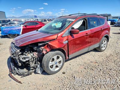 2014 FORD ESCAPE SE 1FMCU0GX5EUD02724 - główne zdjęcie licytacji z USA - miniatura