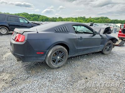 Trzecie zdjęcie samochodu z tyłu: 2013 FORD MUSTANG VIN:1ZVBP8AM2D5261009 - miniatura