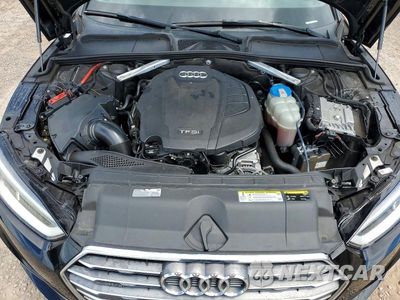 Zdjęcie 11 z 12 samochodu: 2018 AUDI A5 PREMIUM PLUS S-LINE VIN:WAUTNAF55JA011270 - miniatura