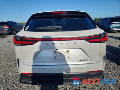 Zdjęcie 6 z 13 samochodu: 2023 LEXUS NX 250 VIN:JTJGDCAZXP5010322 - miniatura