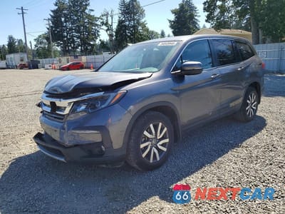 2019 HONDA PILOT EXL 5FNYF6H52KB056630 - główne zdjęcie licytacji z USA - miniatura