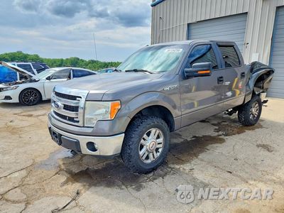 2014 FORD F150 SUPERCREW 1FTFW1EF2EKD54190 - główne zdjęcie licytacji z USA - miniatura