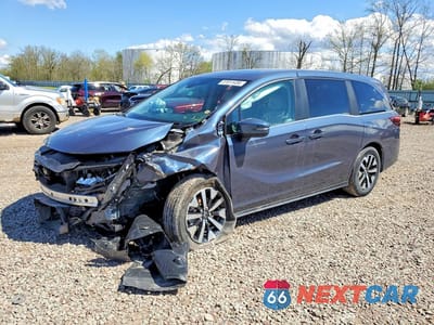 2026 HONDA ODYSSEY EXL 5FNRL6H68TB020772 - główne zdjęcie licytacji z USA - miniatura