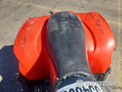 Zdjęcie 6 z 10 samochodu: 2022 CAN-AM DS 250 ATV VIN:RFGUB2517NS030159 - miniatura