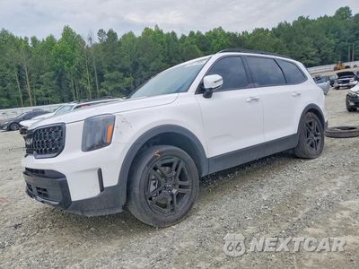 2024 KIA TELLURIDE EX X-LINE 5XYP3DGC0RG447593 - główne zdjęcie licytacji z USA - miniatura