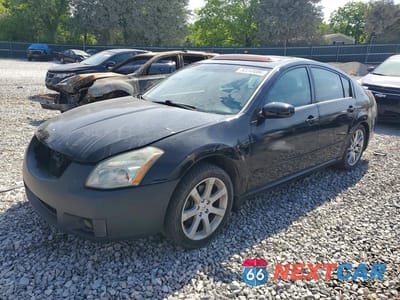 2008 NISSAN MAXIMA 3.5 SE 1N4BA41E88C813500 - główne zdjęcie licytacji z USA - miniatura