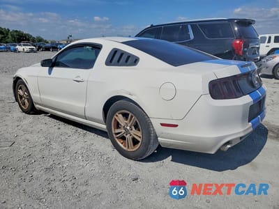 Drugie zdjęcie samochodu z przodu: 2014 FORD MUSTANG VIN:1ZVBP8AM0E5330782 - miniatura