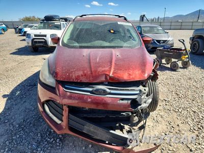 Piąte zdjęcie samochodu w środku: 2014 FORD ESCAPE SE VIN:1FMCU0GX5EUD02724 - miniatura