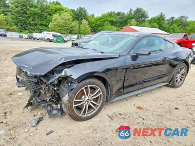 2017 FORD MUSTANG 1FA6P8TH1H5305937 - główne zdjęcie licytacji z USA - miniatura