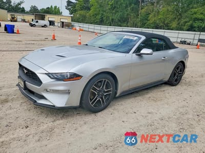 2019 FORD MUSTANG 1FATP8UH9K5115554 - główne zdjęcie licytacji z USA - miniatura