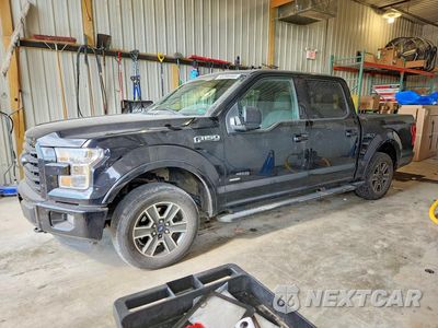 2016 FORD F150 SUPERCREW 1FTEW1EG5GKF86614 - główne zdjęcie licytacji z USA - miniatura