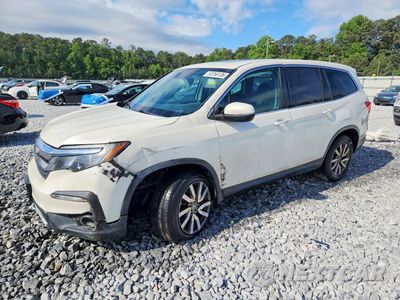 2019 HONDA PILOT EXL 5FNYF6H54KB084929 - główne zdjęcie licytacji z USA - miniatura