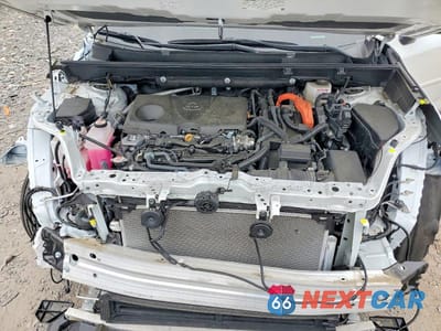Zdjęcie 12 z 13 samochodu: 2024 TOYOTA RAV4 XLE PREMIUM VIN:4T3B6RFV3RU157609 - miniatura