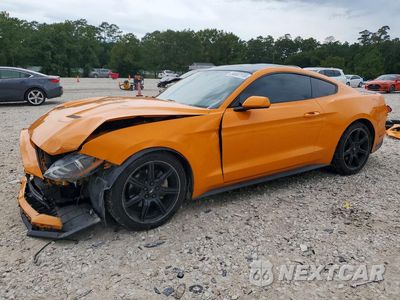 2019 FORD MUSTANG 1FA6P8TH0K5112010 - główne zdjęcie licytacji z USA - miniatura