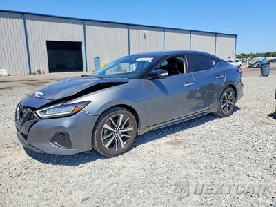 2023 NISSAN MAXIMA SV 1N4AA6CV8PC508694 - główne zdjęcie licytacji z USA - miniatura