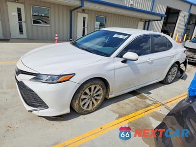 2019 TOYOTA CAMRY LE 4T1B11HK4KU810787 - główne zdjęcie licytacji z USA - miniatura