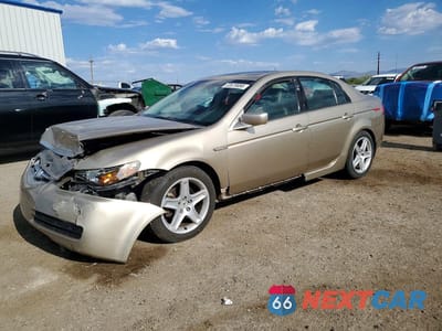 2004 ACURA TL 19UUA66244A022711 - główne zdjęcie licytacji z USA - miniatura