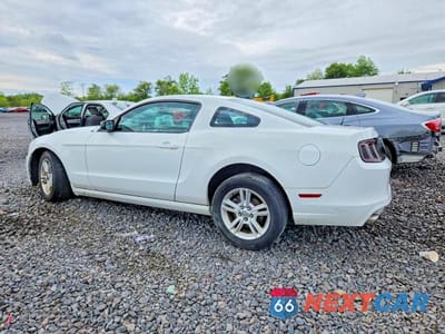 Drugie zdjęcie samochodu z przodu: 2014 FORD MUSTANG VIN:1ZVBP8AM8E5325703 - miniatura