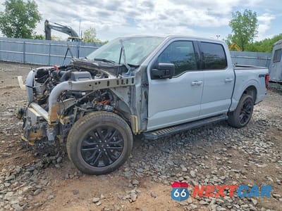 2025 FORD F150 XLT 1FTEW3LP5SFA35969 - główne zdjęcie licytacji z USA - miniatura