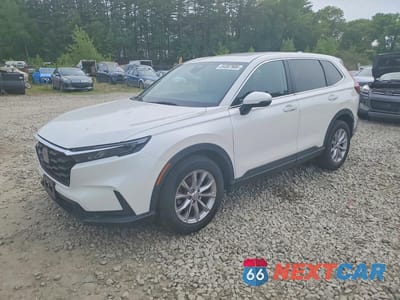 2024 HONDA CR-V EX 2HKRS4H46RH407160 - główne zdjęcie licytacji z USA - miniatura