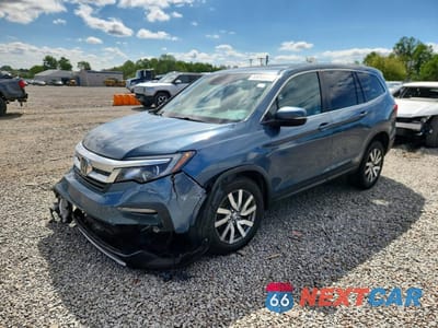 2019 HONDA PILOT EXL 5FNYF6H56KB091414 - główne zdjęcie licytacji z USA - miniatura