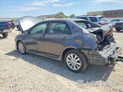 Drugie zdjęcie samochodu z przodu: 2010 TOYOTA COROLLA S VIN:1NXBU4EEXAZ198651 - miniatura