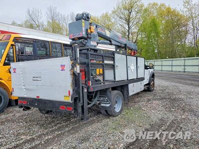 Czwarte zdjęcie samochodu z boku: 2020 FORD F550 SUPER DUTY VIN:1FDUF5HT6LDA08978 - miniatura